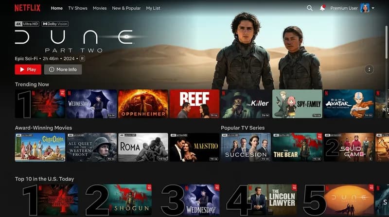 Netflix Premium 4K UHD interface preview